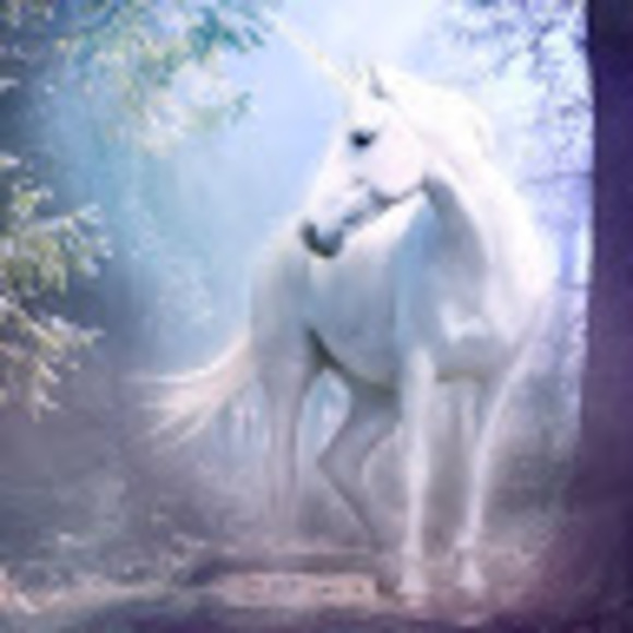 Meet your Posher, Marisa - Picture 1 of 1